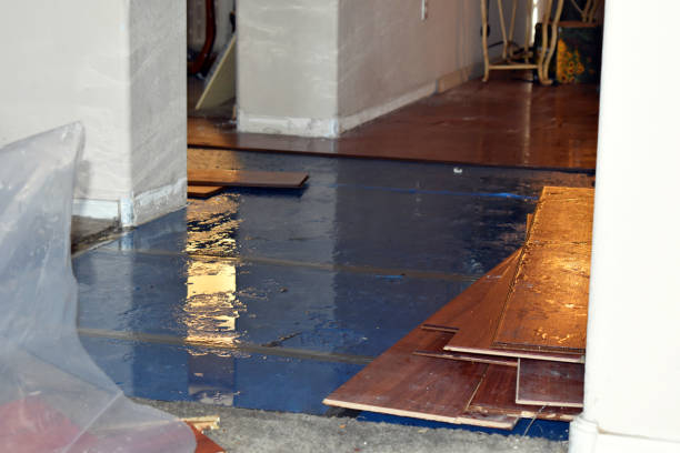Professional Basement Water Removal technician working in Chauncey, OH